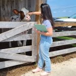 intern, dietitian, calf, heifer, dairy